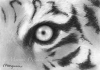 Hungry Eye